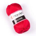 Begonia (Бегонія) 6328